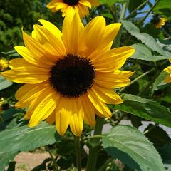 りりの📸いろいろ写真館📸