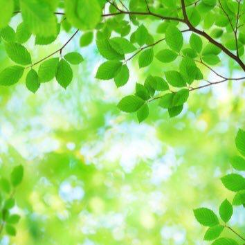 しょうのトーク