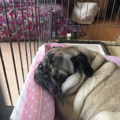 まさごんた@もかフレンド