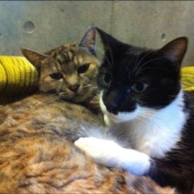 きりえＴ（浮遊style）のトーク