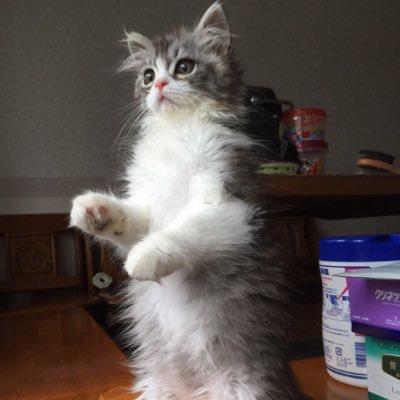 ひろおちゃん