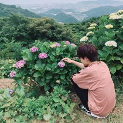 けーた