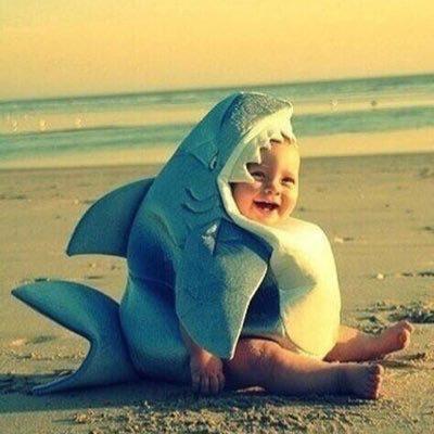 ココアのトーク