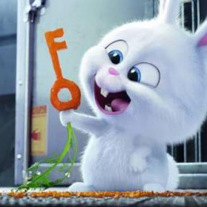 ありす🐇のトーク