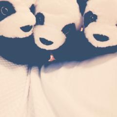 ぱん田🐼