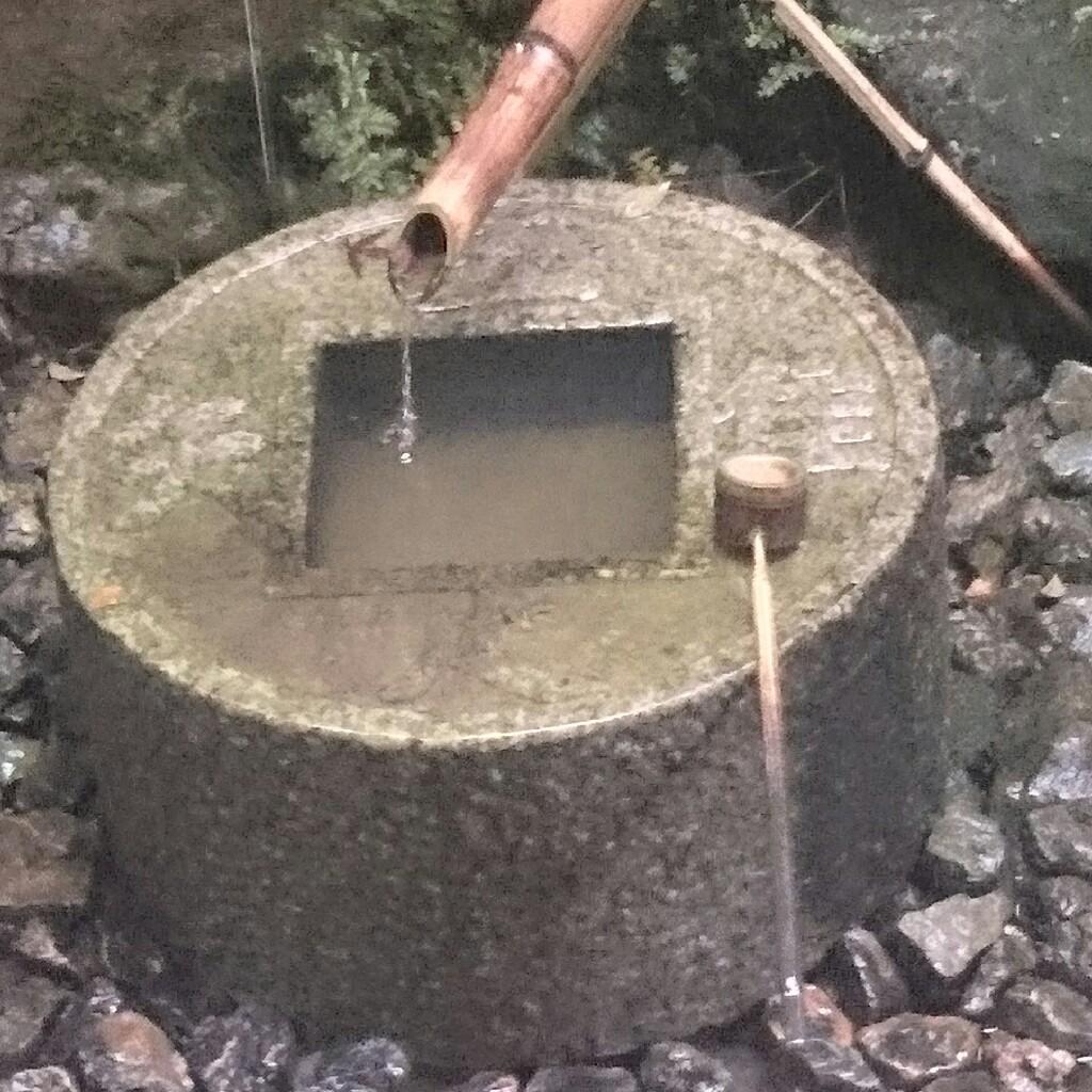 コウイチのトーク