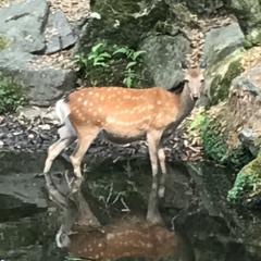 ともたろのトーク