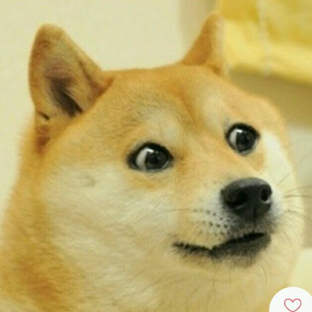 dy