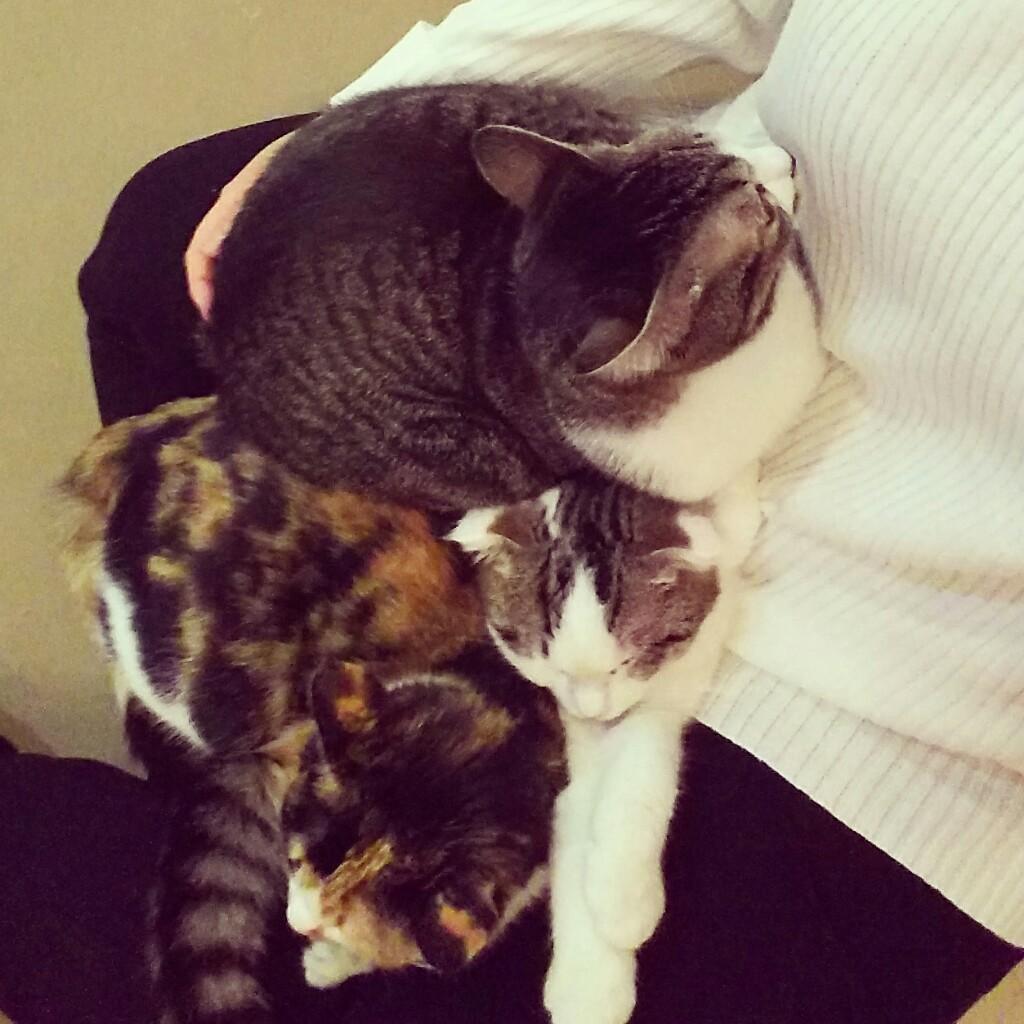 磯野(misa×chi-san)