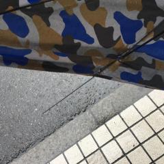 ぜとじぇとのトーク
