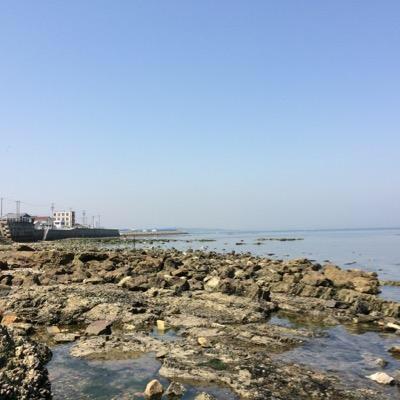 トルコに留学、元岐阜県民