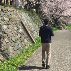 さるさ