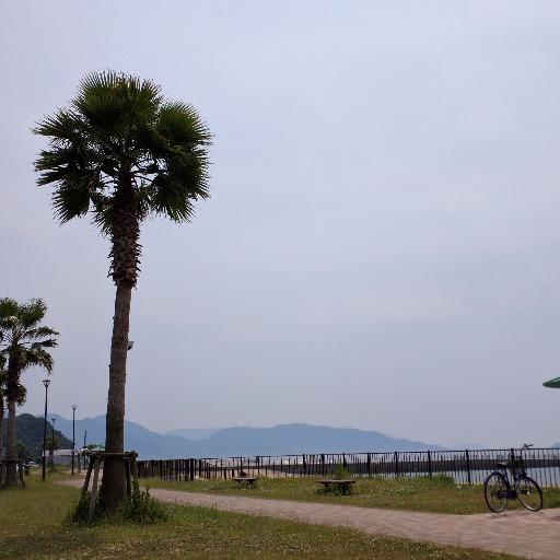 へいはち