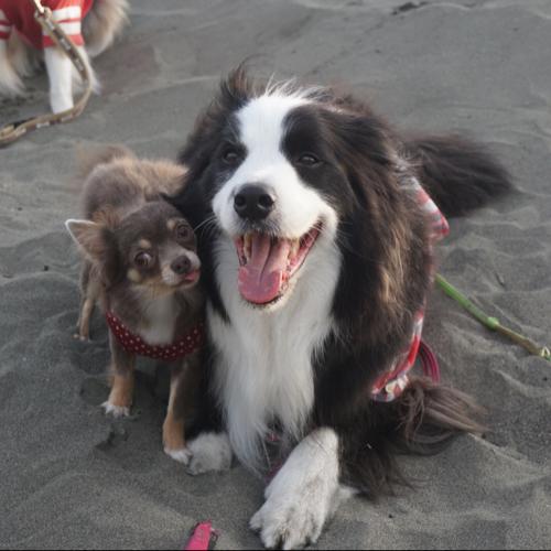 よねやまのトーク