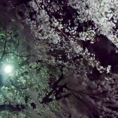 じょーのトーク