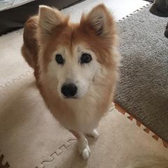 ☆てるるん★のトーク