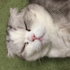 まっちゃんのトーク
