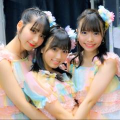 メンバーからの引用