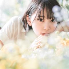 ひらだいん⊿