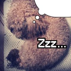 イレヴン・ザ・寿司スパイのトーク