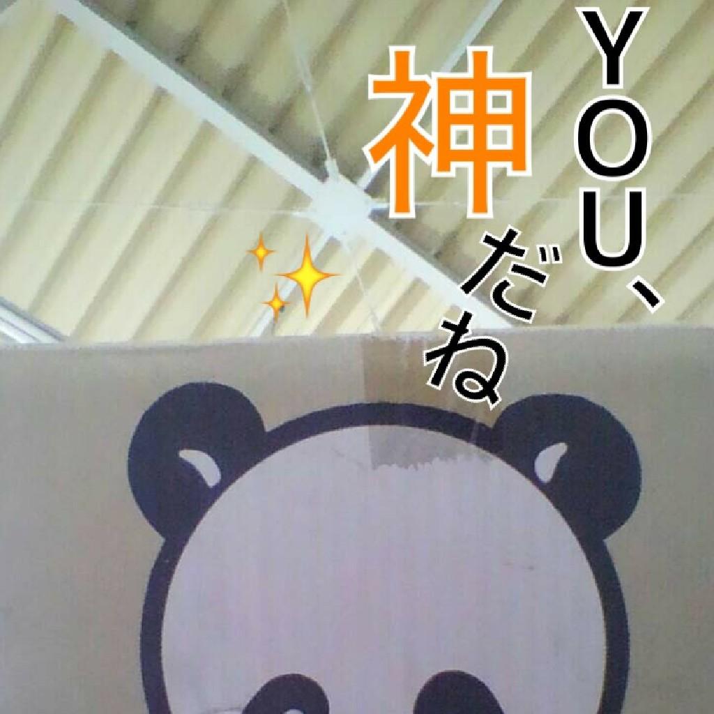 山田～何処～(　＾ω＾ 三　＾ω＾　)ﾋｭﾝﾋｭﾝの人