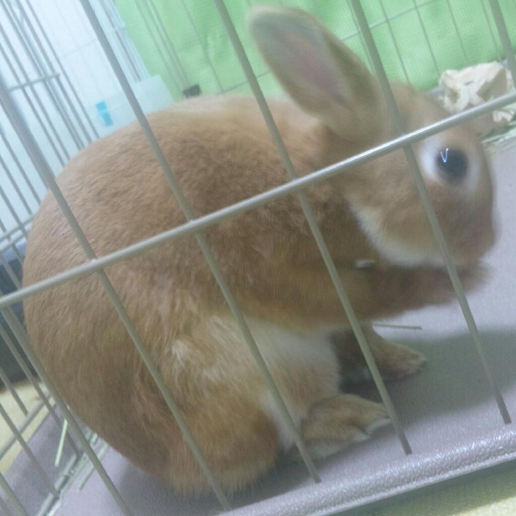 どん