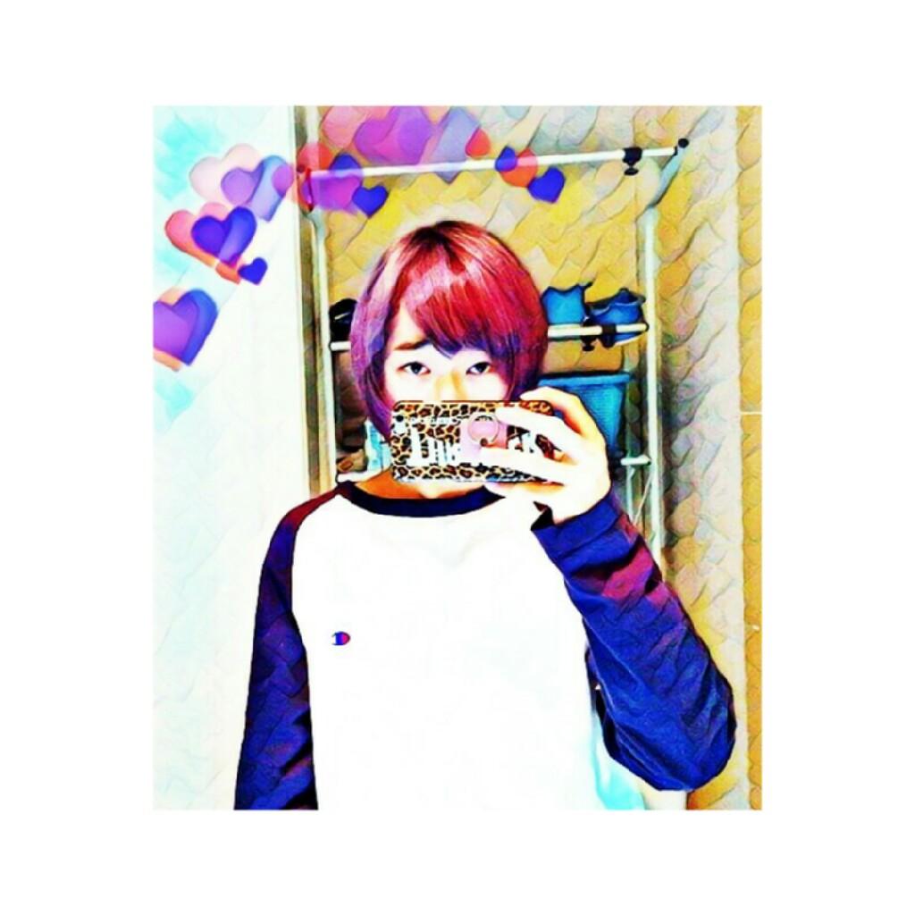 🐢 ま ふ ぃ 🐢