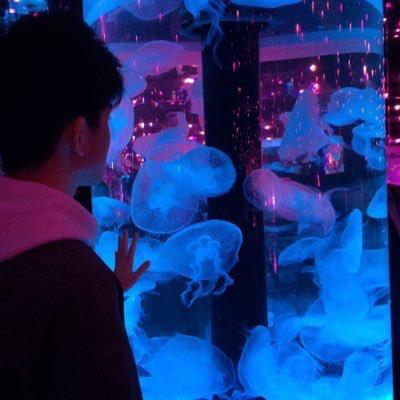 たか