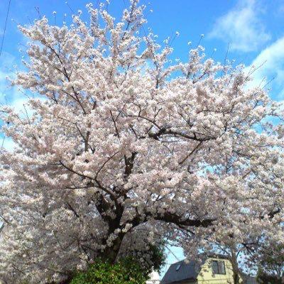 めがねのトーク