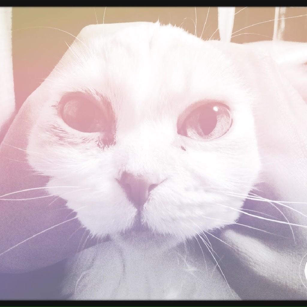 渡辺さんのトーク