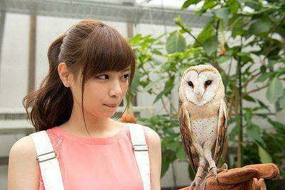 ティガナ