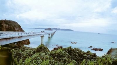 乃木垢/さゆりん推し