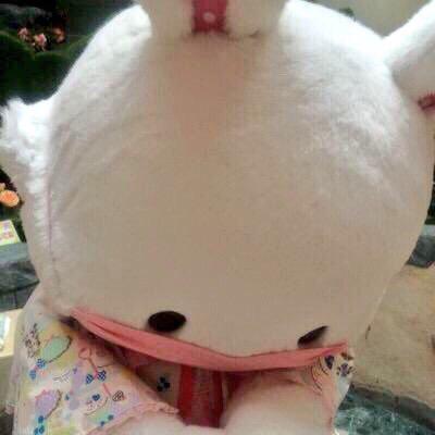 るなちゃ(どーるちゃ)