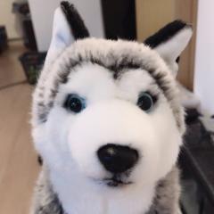 こみん。⊿