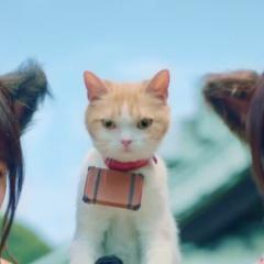 なおき