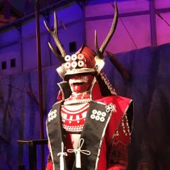 yanagingin