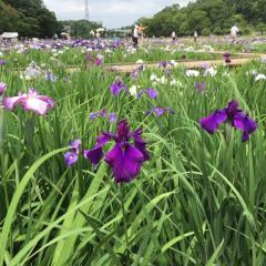 yanaginginのトーク