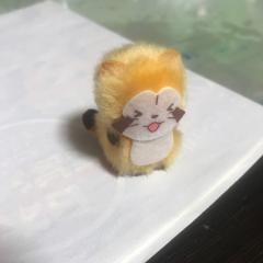 よたけん