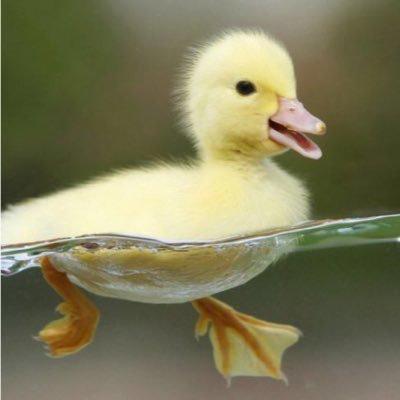 うぃ