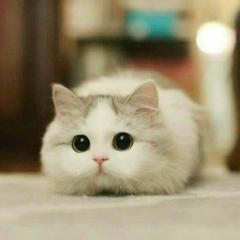 ゆーや