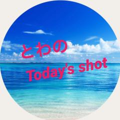 とわのToday's shot💕