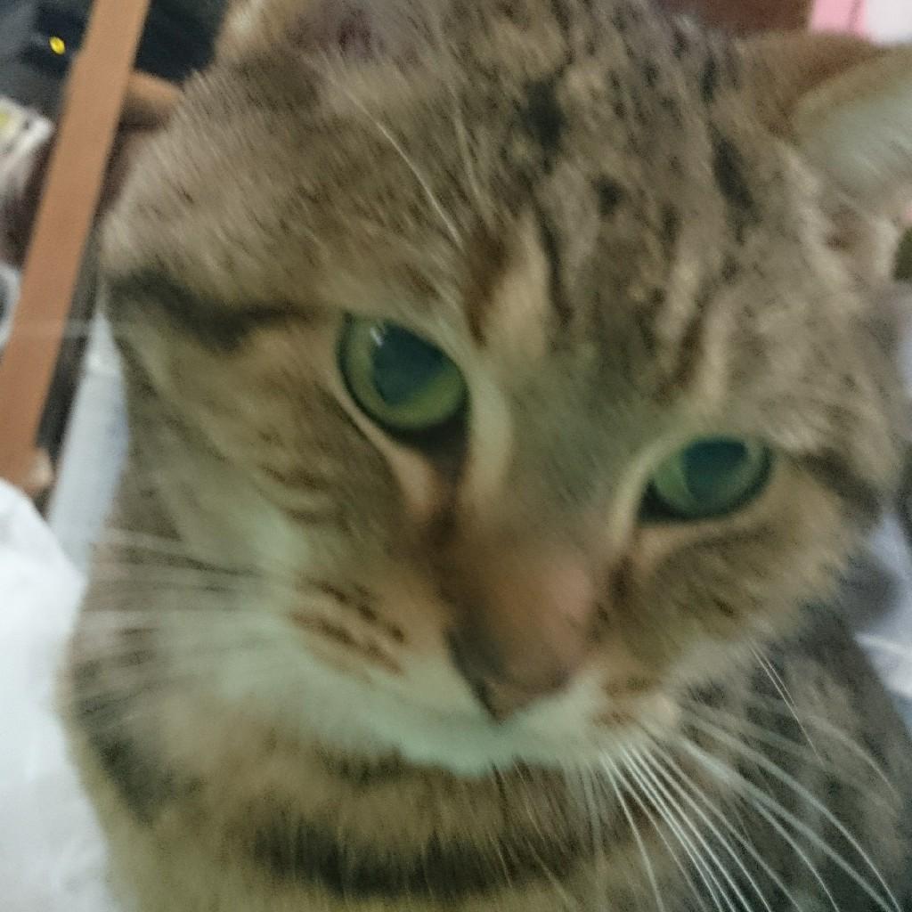 もりち