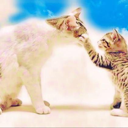 気まぐれReTalkトーク