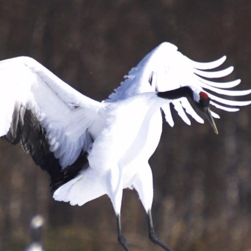 釧路出身・在住トーク