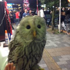 紫のアムーのトーク