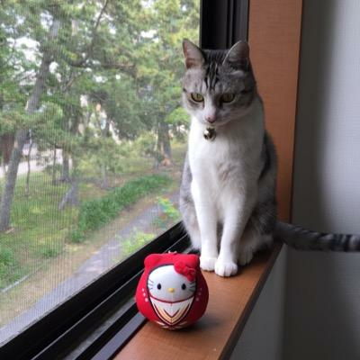 まっちー