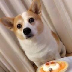 掛け算