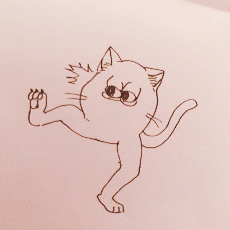 たいちょこさん⊿