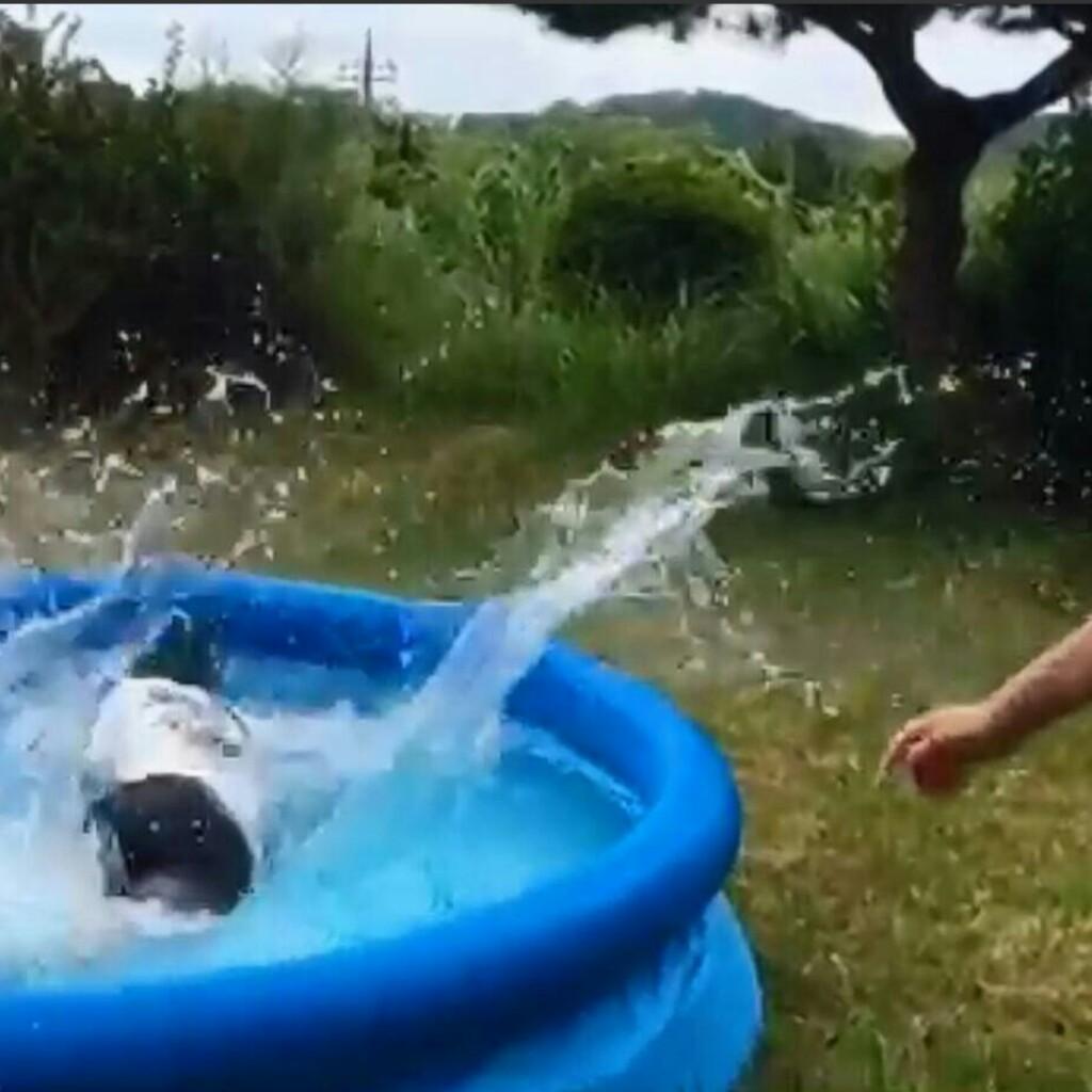 おつゆ㌣のトーク