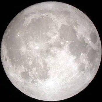 星田康佑のトーク